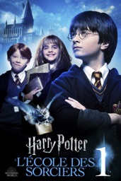 Screenshot Harry Potter à l’école des sorciers