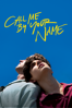 Luca Guadagnino - Call Me By Your Name  artwork