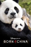 Lu Chuan - Disneynature: Born In China artwork