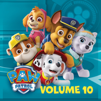 Paw Patrol Vol. 10 - Rocky Saves Himself / Pups and the Mystery of the Driverless Snow Cat artwork
