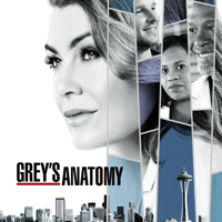 Grey's Anatomy - Grey's Anatomy, Season 14 artwork