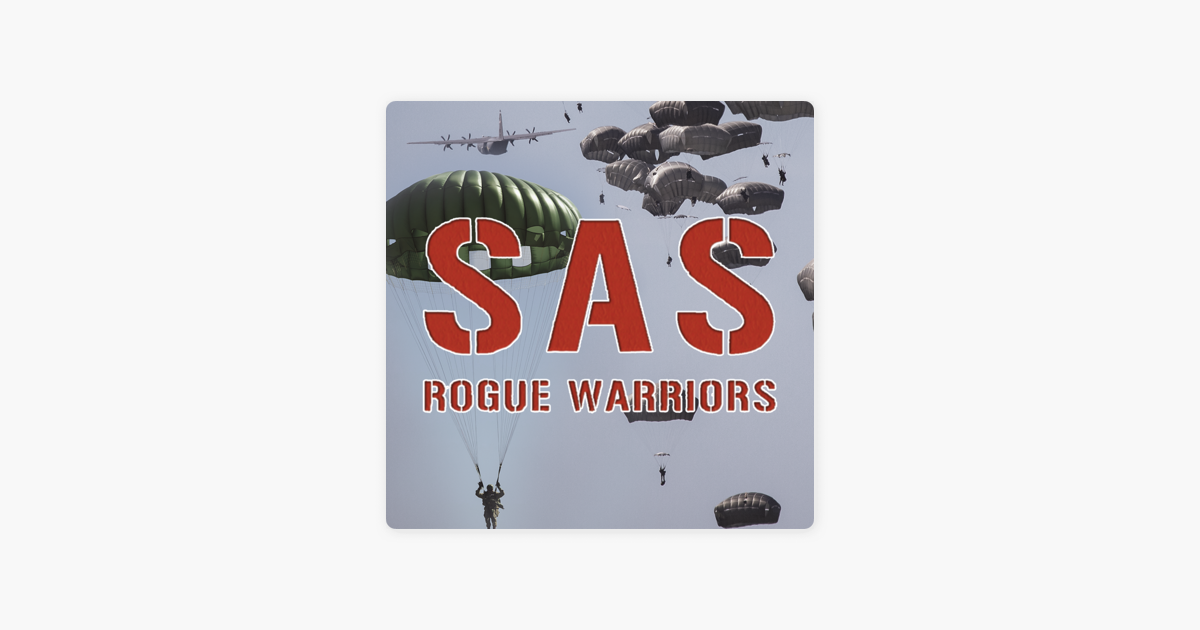 sas rogue book