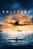 Spitfire - Anthony Palmer & David Fairhead