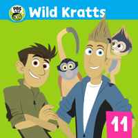 Wild Kratts - The Other Martens artwork