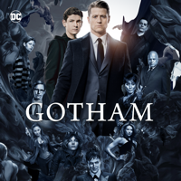 Gotham - Gotham, Seasons 1-4 artwork