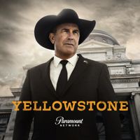 The Sting of Wisdom - Yellowstone Cover Art