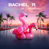 Bachelor in Paradise, Season 8 - Bachelor in Paradise
