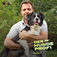 Der Hundeprofi - Der Hundeprofi, Staffel 7 artwork