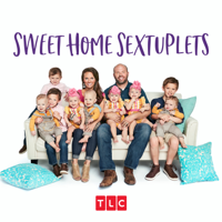 Sweet Home Sextuplets - Valentines - Times Nine! artwork