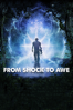 From Shock to Awe - Luc Cote