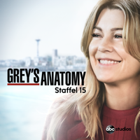 Grey's Anatomy - Grey's Anatomy, Season 16 (subtitled) artwork