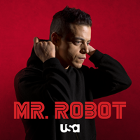 Mr. Robot - 403 Forbidden artwork