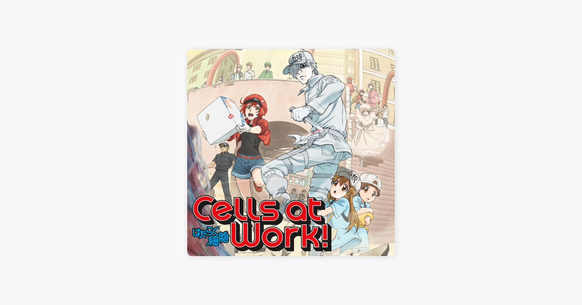 ‎Cells at Work!, Season 1 (Original Japanese Version) on iTunes