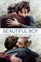 Felix van Groeningen - Beautiful Boy artwork