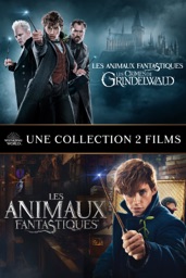 Les Animaux Fantastiques - Collection des 2  films