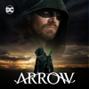 Arrow - Reset artwork