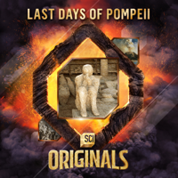 Last Days of Pompeii - Last Days of Pompeii artwork