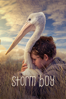 Storm Boy - Shawn Seet
