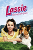 Lassie: Held auf vier Pfoten - Fred M. Wilcox