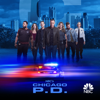 Chicago PD - Silence of the Night  artwork