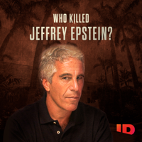 Who Killed Jeffrey Epstein? - The Inner Circle artwork