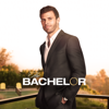 The Bachelor - 2709  artwork