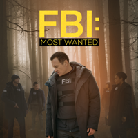 FBI: Most Wanted - Spiderweb artwork