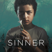 The Sinner - The Sinner, Staffel 2 artwork