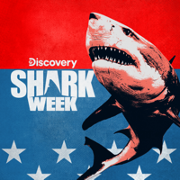 Shark Week - Sharkadelic Summer artwork