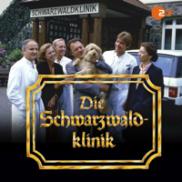 Die Schwarzwaldklinik - Die Schwarzwaldklinik, Staffel 2 artwork