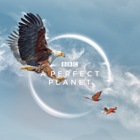 A Perfect Planet - Weather artwork