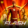 The Flash - The One with the Nineties  artwork