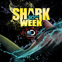 Shark Week - Shark Week, 2018 artwork