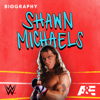 Biography: Shawn Michaels - Biography: Shawn Michaels  artwork