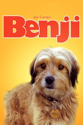 Image result for benji