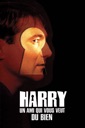 Affiche du film Harry, un ami qui vous veut du bien