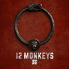 12 Monkeys - 12 Monkeys, Season 4  artwork