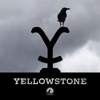 Yellowstone - Yellowstone, Season 4  artwork