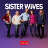 Sister Wives - Sister Wives, Season 16  artwork