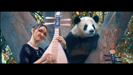 Panda Mia - OTTA-Orchestra