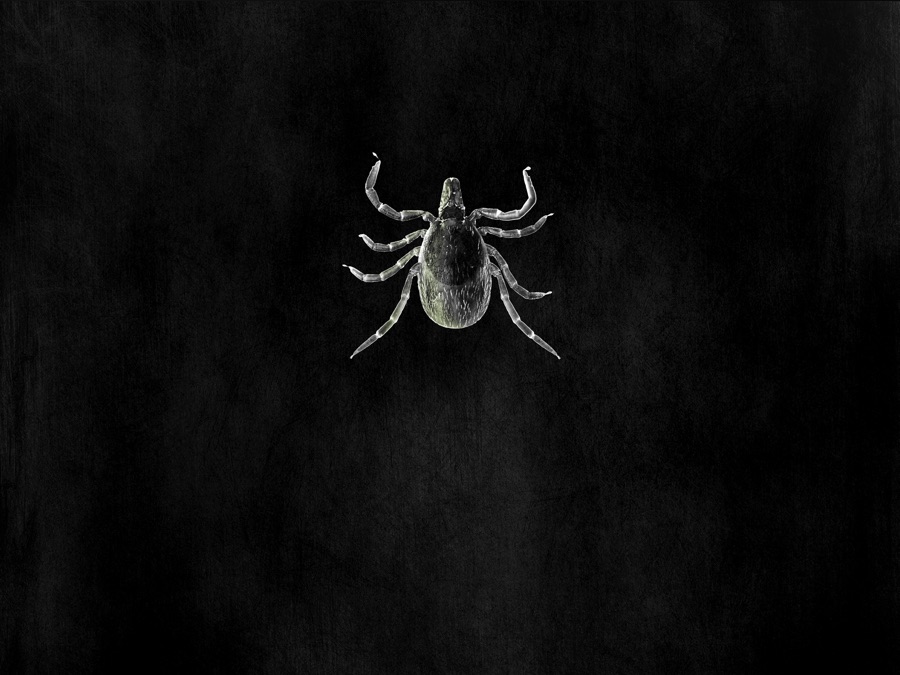 the-quiet-epidemic-apple-tv