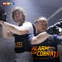 Alarm für Cobra 11 - Schlangennest artwork