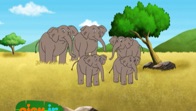 ‎Nick Jr. Around the World, Let's Go On Safari! on iTunes