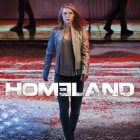 Homeland - Homeland, Staffel 6 artwork