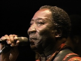 I'm a King Bee Muddy Waters Blues Music Video 2009 New Songs Albums Artists Singles Videos Musicians Remixes Image