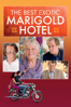 John Madden - The Best Exotic Marigold Hotel  artwork