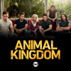 Animal Kingdom - In the Red  artwork