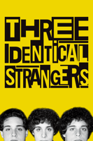 Tim Wardle - Three Identical Strangers artwork