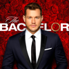 The Bachelor - 2301  artwork