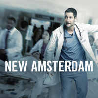 New Amsterdam - New Amsterdam, Season 1 artwork